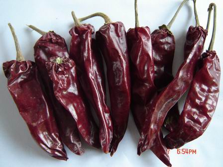 Chilli, Chinese Chilli