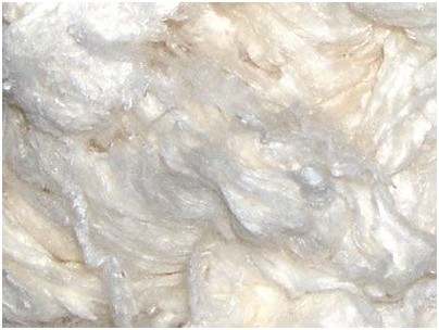 Bamboo Fiber