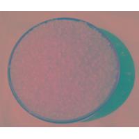 Sell Polyvinyl Acetate Solid Beads