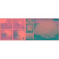 Super Absorbent Polymer