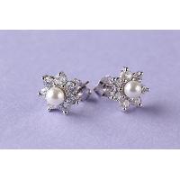 925 Sterling Silver Earring