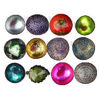 Coconut bowls