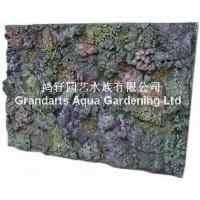 3D background board aquarium decoration