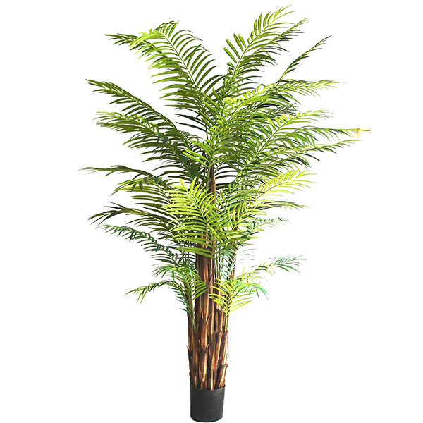 84 inches Areca Palm Tree x 10 w/1467 Lvs.
