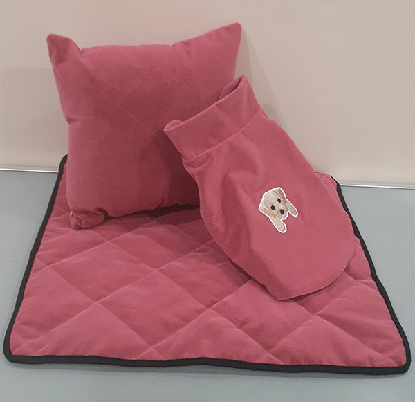 Pets Cushion and Blanket