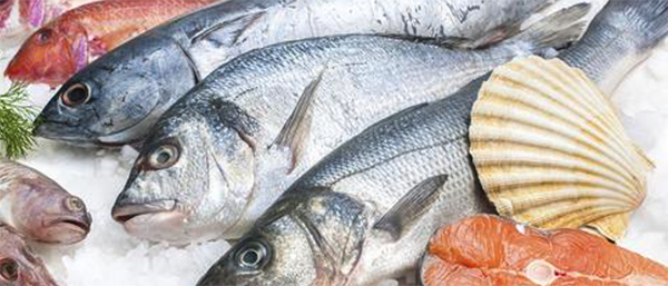 Food Supplier