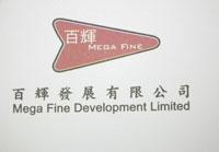 Mega Fine Development Ltd.