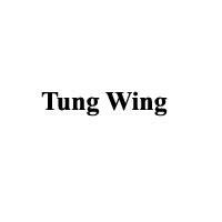 Tung Wing Enterprises Ltd.